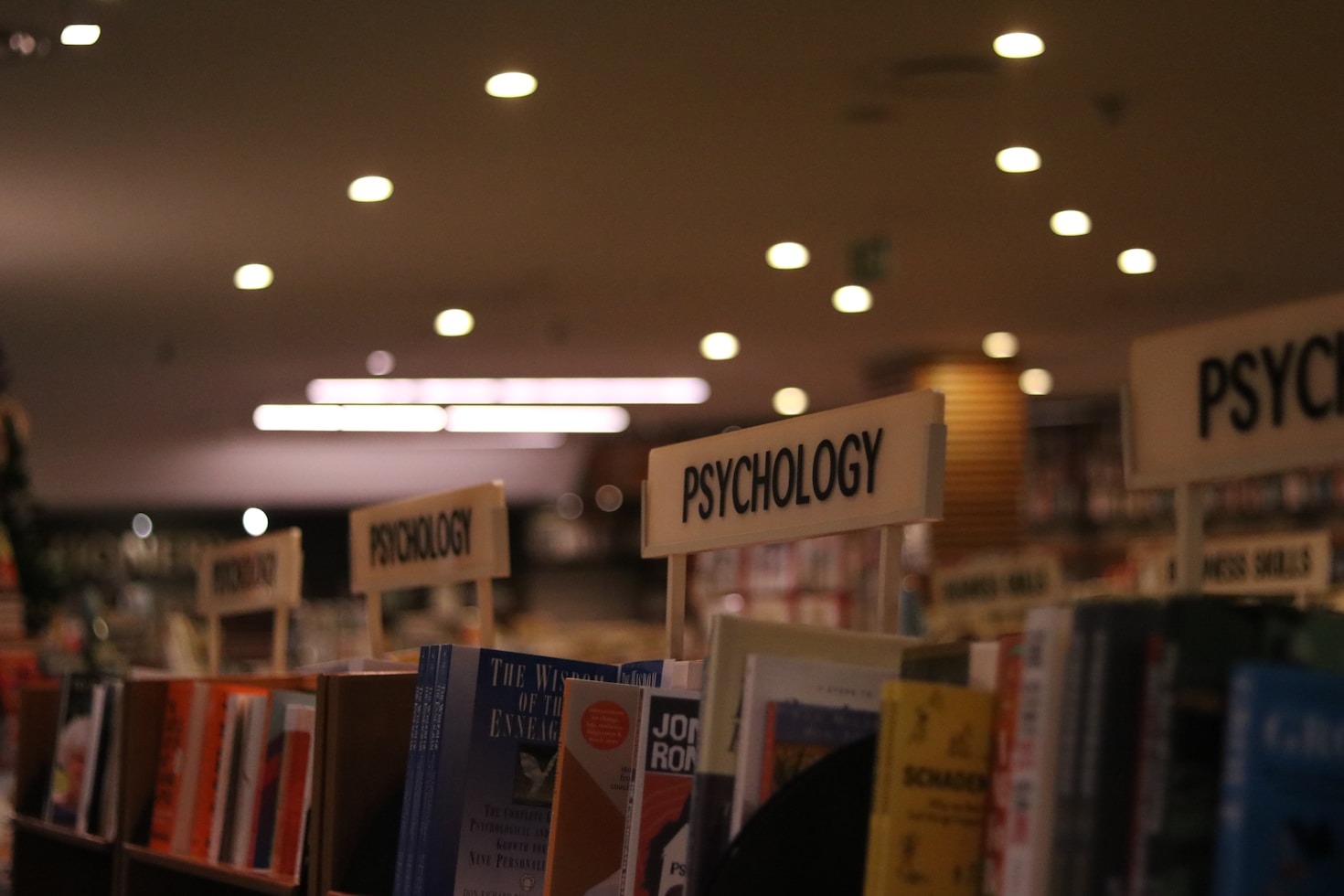 How Guided Therapy Empowers Personal Growth
